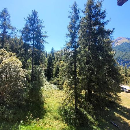 Le Lodge Des Marmottes - Calme, Cosy, Vue Nature Les Orres Exteriör bild